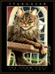 StargazerV4cat108.jpg