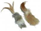 Fur n Feathers